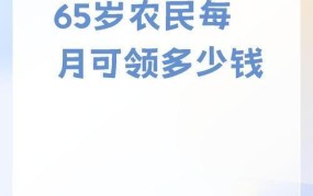 65岁农民每月领多少养老金，政策解读