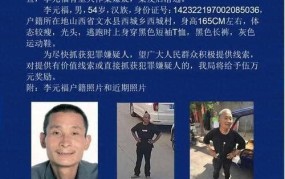 公安网通缉令是如何发布的？普通民众应该如何提供线索？