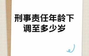 最低刑责年龄下调至几岁？有什么影响？