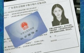 景德镇市人力资源和社会保障局如何办理社保？