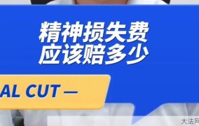 精神损失赔偿在法律上是如何规定的？如何申请？