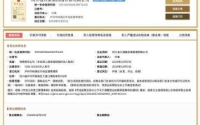 全国企业信息公示查询系统如何使用？有哪些注意事项？