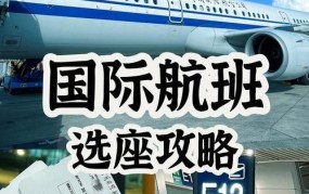 有哪些航空公司提供国内航班服务？如何选择？