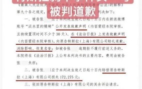 爬上特斯拉车顶女车主为何被判公开致歉？