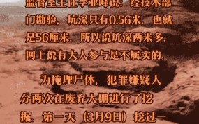 藏匿尸骸案件令人震惊，法律如何严惩凶手？