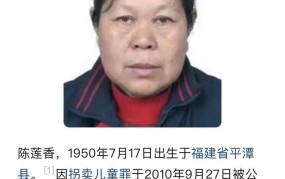 张维平将被执行，相关法律问题解答