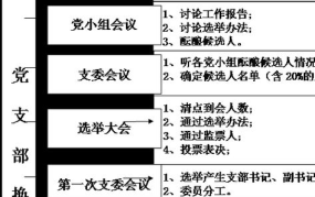 党支部选举程序规范与注意事项