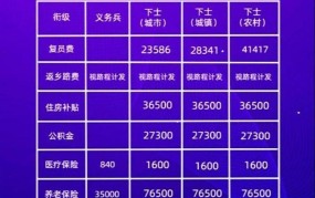 退伍兵60岁后每月可以领多少钱？如何申请？