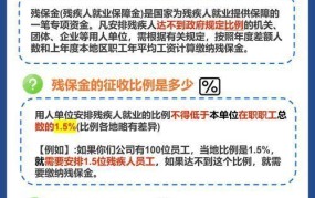 残保金网上申报操作指南：流程、材料、注意事项