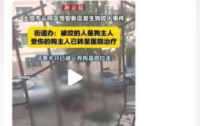 狗咬死人狗主人被拘，法律责任如何界定？