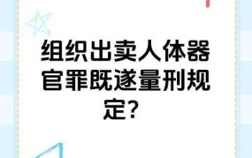 法律制裁的种类有哪些？如何实施？