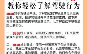 金华市汽车违章如何查询？详细步骤解析