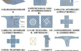 道路标志和标线有哪些作用？如何识别？