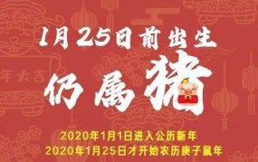 鼠年为何要多上一个月的班？有何补偿措施？