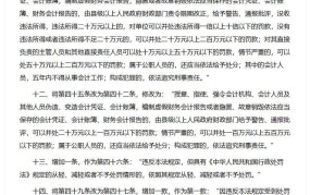 会计法实施细则2024有哪些新规定？如何实施？