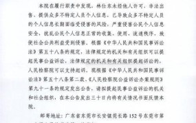 东莞市中级人民法院诉讼指南，打官司需要注意什么？