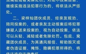 团伙犯罪如何界定？有哪些法律条文解释？