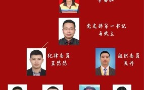 党支部人数上限是多少？如何优化党组织结构？