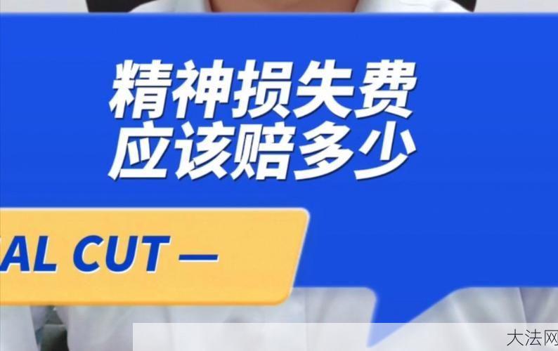 精神损失赔偿在法律上是如何规定的？如何申请？-大法网