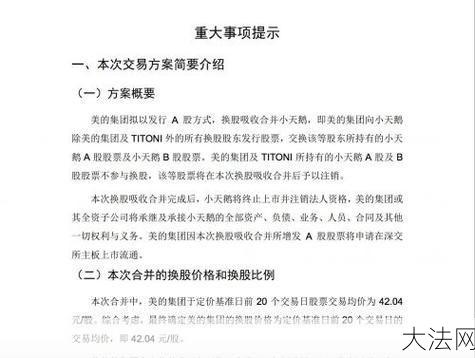 可换股票据的操作流程是怎样的？-大法网