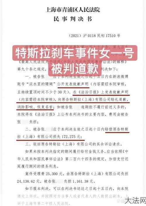 爬上特斯拉车顶女车主为何被判公开致歉？-大法网