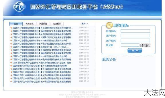 外汇管理局服务平台操作流程与功能介绍-大法网