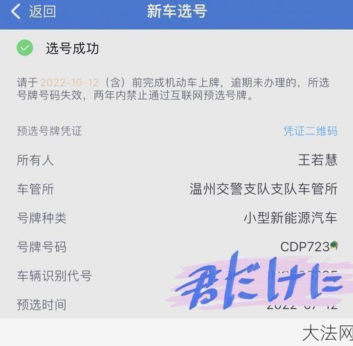 自选车牌号查询攻略，如何选到心仪车牌？-大法网