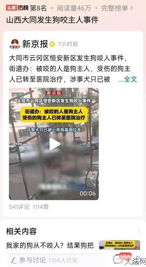 狗咬死人狗主人被拘，法律责任如何界定？-大法网